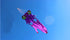 free shipping gold fish kite flying walk in sky kite factory outdoor sport toys nylon fabric kitesurf active rest voar pipe