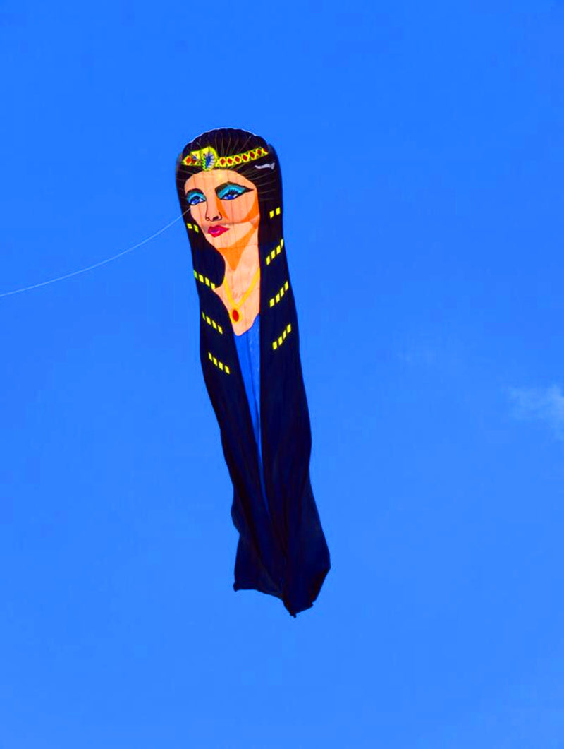 free shipping 24m large kite flying soft kite reel parachute nylon fabric giant inflatable kite weifang kite pilot factory tails