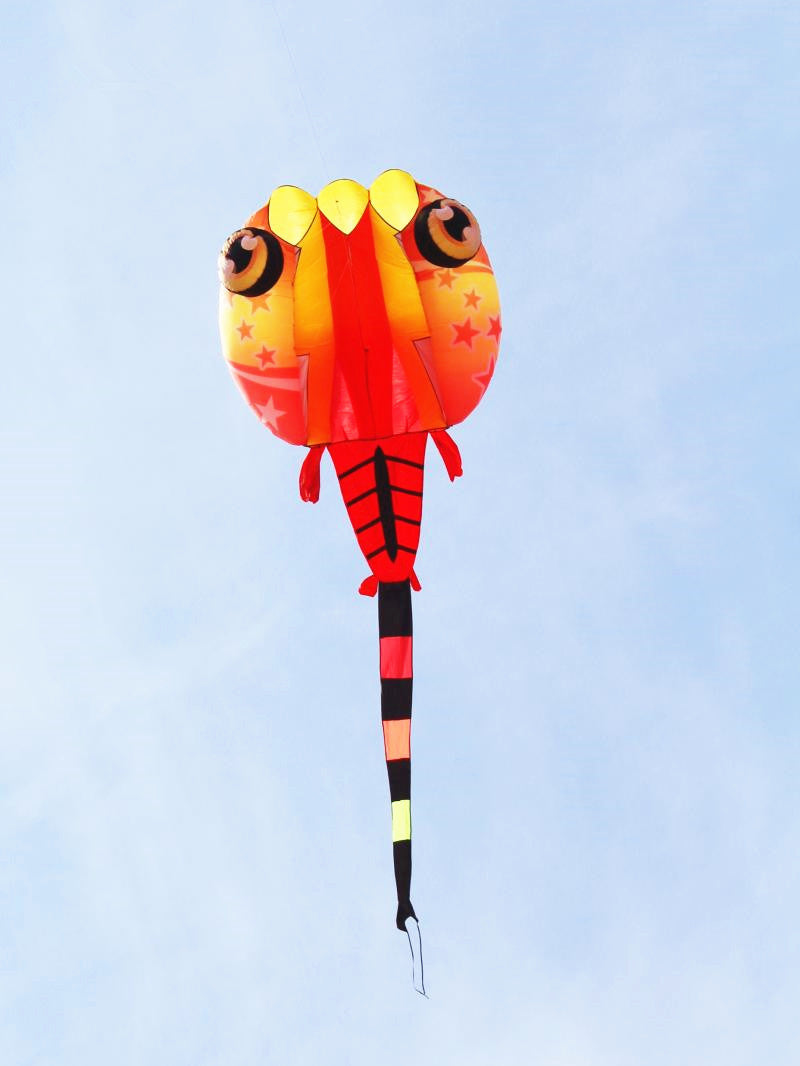 free shipping large tadpole kite for adults soft kites outdoor toys flying jellyfish trilobites kites factory parachute pointer