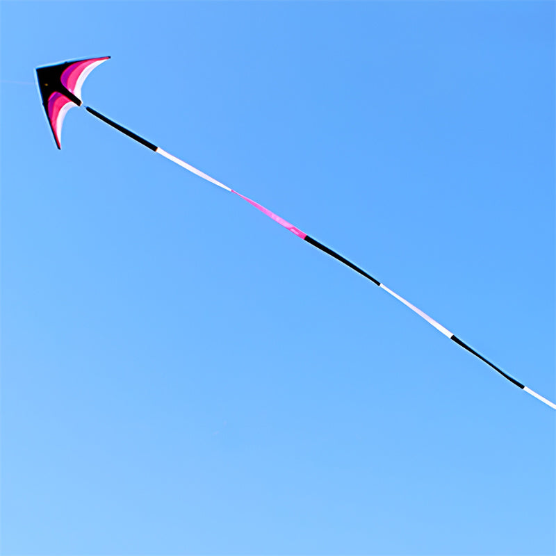 free shipping large kite tails flying kite windsocks kites rainbow tail kite for kids snake rip stop for kite novelty toy