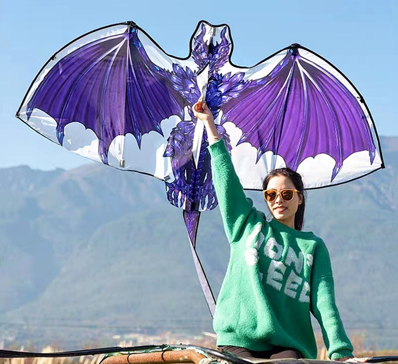 Free Shipping dragon kites flying for children kites fabric nylon weifang kites factory Outdoor toys flying dragon kite surfing