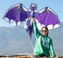Free Shipping dragon kites flying for children kites fabric nylon weifang kites factory Outdoor toys flying dragon kite surfing