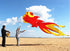 free shipping fish kite flying for adults kites goldfish kite sport professional kites large inflatable kite surf cerf parachute