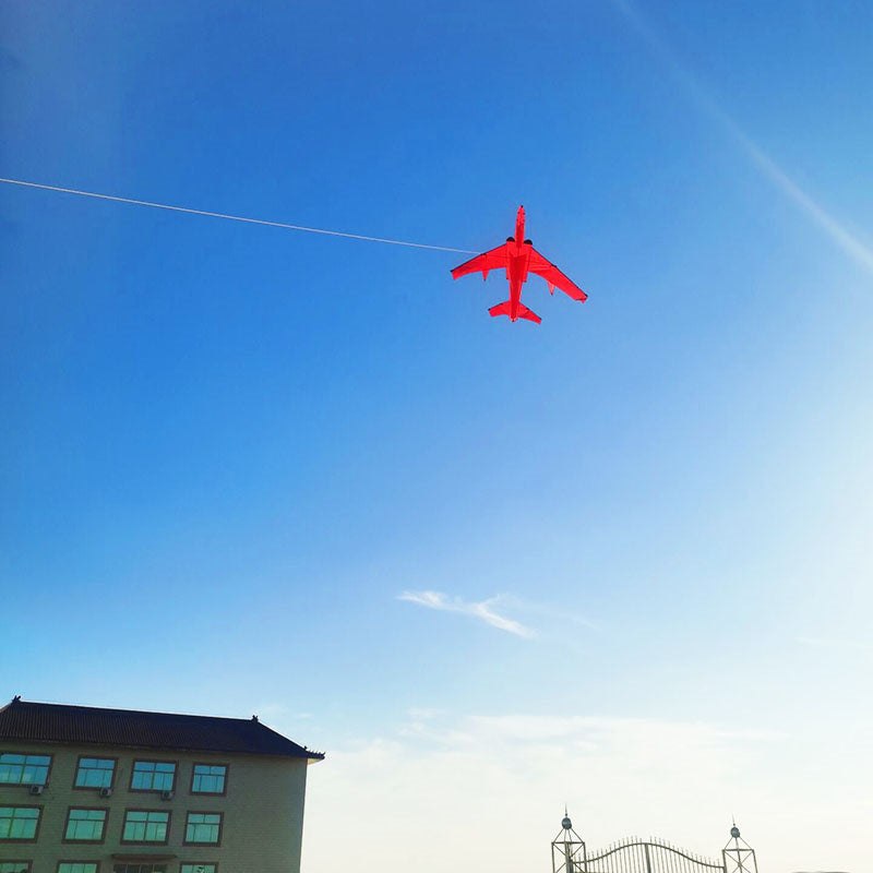 Free Shipping large kites flying plane kites for adults kites string line snake coil ripstop rainbow high wind pointer Kevlar
