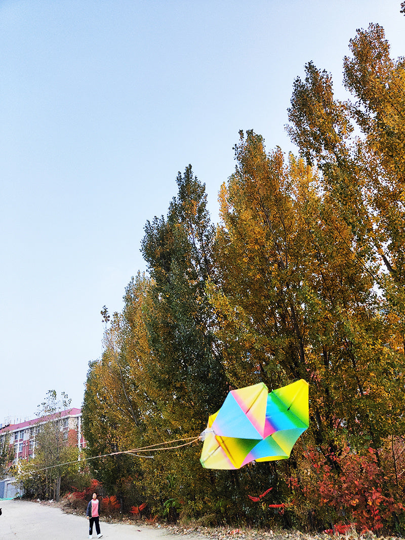 free shipping PE rotating kite flying toys for children kites 3d kites snake coil show kites colorful flying weifang kites fish