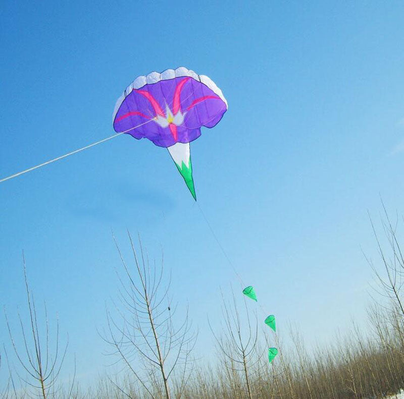 free shipping morning glory soft kite flying toy cerf volant adulte kites for kids kite surf vlieger weifang kite wholesale new