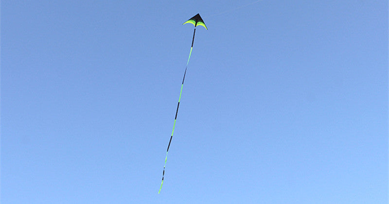 free shipping delta kites 6m tails flying toys for children kites fabric ripstop nylon outdoor sports beach kites factory ikite