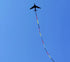 Free Shipping large kites flying plane kites for adults kites string line snake coil ripstop rainbow high wind pointer Kevlar