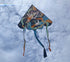 free shipping chinese traditioal kites flying for adults kites surf dragon kites line sport parachute outdoor play weather vane