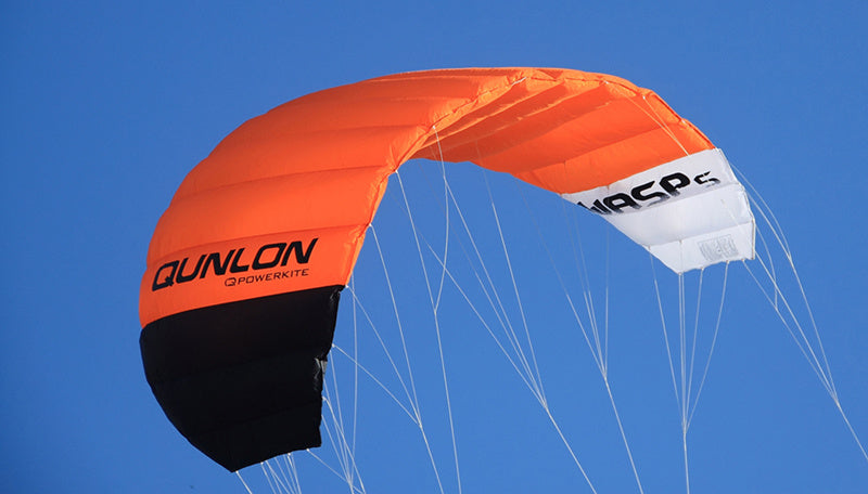 Free shipping parachute giant kites quad line power kites wasp kites paraglider kiteboard kitesurfing equipment for adults kites