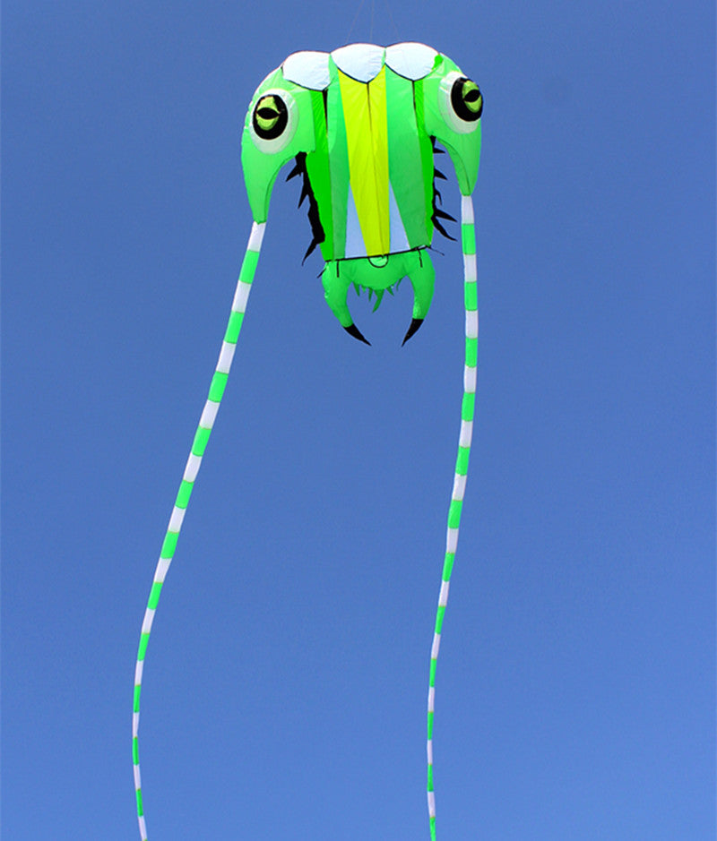 free shipping large trilobites kite flying kites windsurf weifang big kite wheel for adults kites air paraglider koinobori