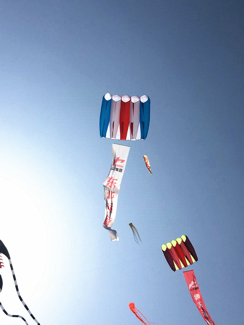 free shipping 36sqm pilot kite flying large soft kite parachute kite pendant jellyfish kite octopus kite inflatable show kite