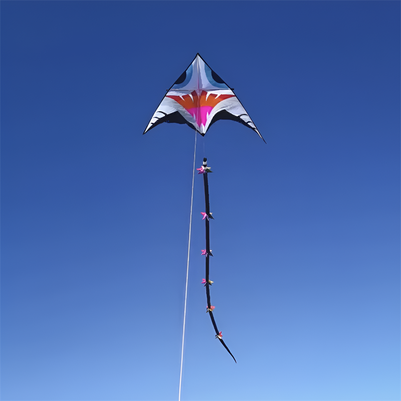 free shipping 3d kites windsocks Prick ball kites flying toys for kids kite large kite tails rainbow kite professional wind kite