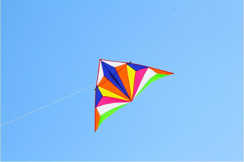 free shipping large fox kites for adults delta kite flying outdoor sports kites ripstop nylon fabric parachute kite lightweight