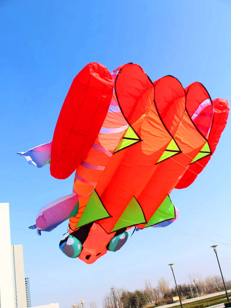 free shipping frog kite flying soft kite for adults kite line windsurf outdoor toys inflatable kite professional kite reel koi