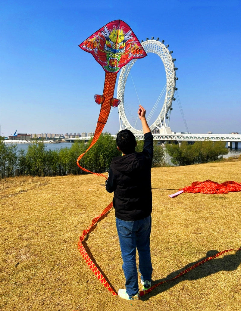 free shipping 100m chinese dragon kite flying handle line large kite snake kites for kids cometas paragliding windsurf