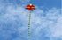 free shipping children plane kites for kids kites fighter kite line outdoor game toys cerf volant professional wind kites jouer
