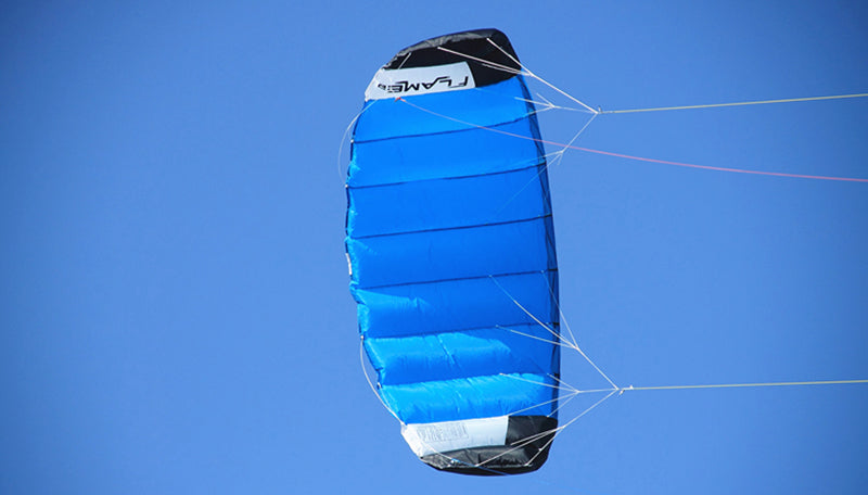 Free Shipping quad line power kites for adults kites inflatable show kites colorful flying kites windsurf power kite cerf