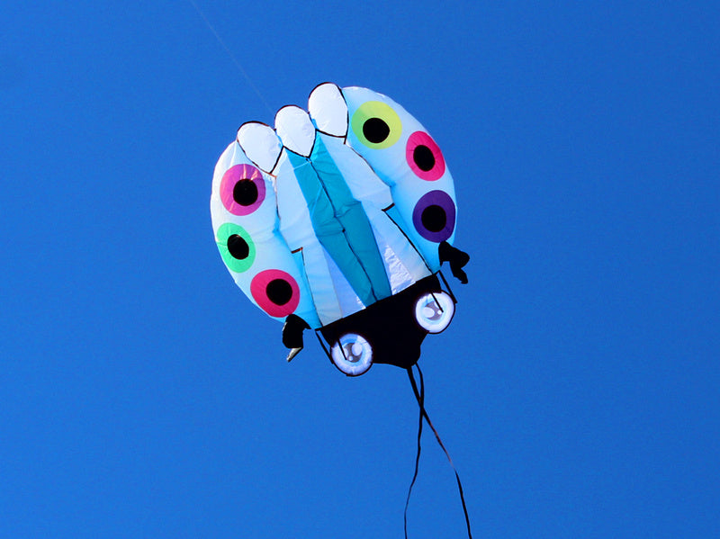 free shipping large ladybug 3D soft kite outdoor flying toys kites for adults vlieger kitesurf kite reel weifang kite factory