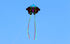 free shipping 5pcs butterfly kites for adults kites reel large kites factory cerf volant paragliding windsurf linha de pipa