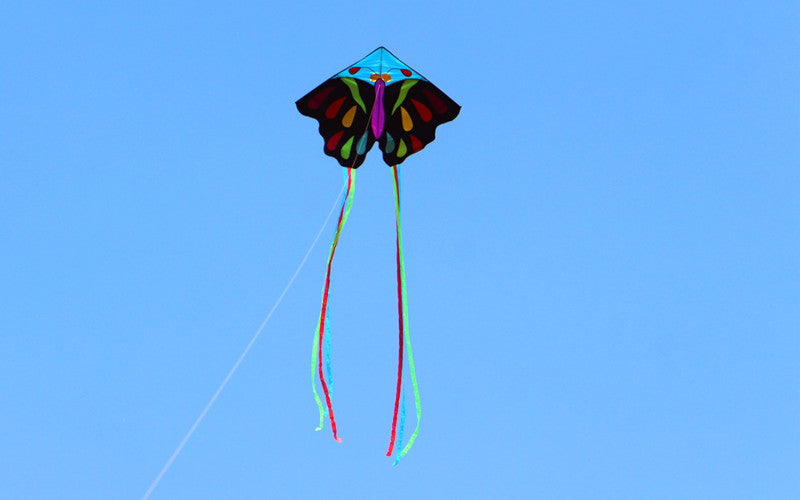 free shipping 220cm butterfly kites for adults kites string line professional winds kites reel parachute ikite factory weifang