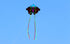 free shipping 220cm butterfly kites for adults kites string line professional winds kites reel parachute ikite factory weifang