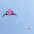 free shipping 6sqm delta kite for adults kites flying string line nylon professional kite reel ikite buggy parachute factory