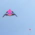 free shipping giant kites flying delta kites for adults kites line kevlar rainbow high kites factory outdoor toys walk in sky