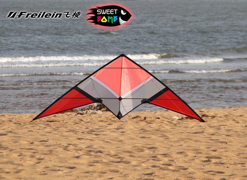 free shipping 250cm dual line stunt kite loudy large pull Freilein sweetbomb kite parachute kite factory outdoor koi paraglider