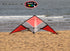 free shipping 250cm dual line stunt kite loudy large pull Freilein sweetbomb kite parachute kite factory outdoor koi paraglider