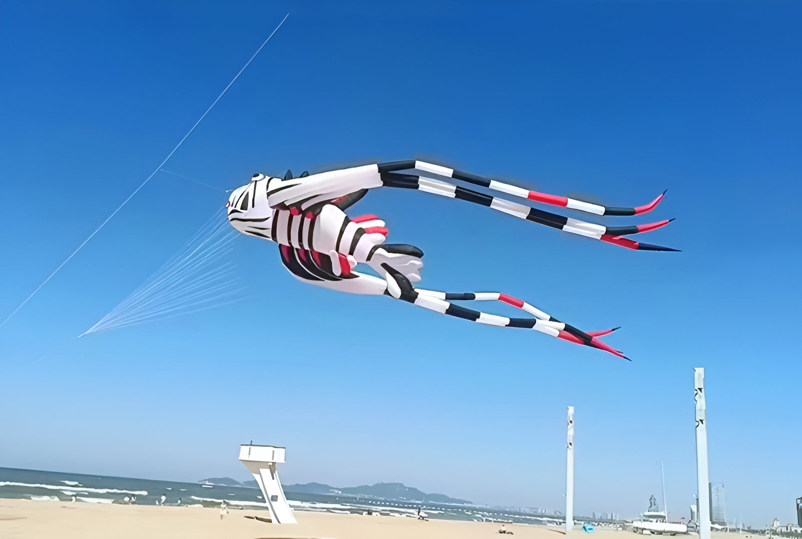 Free Shipping new kites pendant kites shows flying fish kites windsocks Inflatables kites octopus kites trilobites kites factory