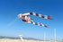 Free Shipping new kites pendant kites shows flying fish kites windsocks Inflatables kites octopus kites trilobites kites factory