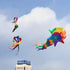 free shipping high quality 6m rainbow windsock kite flying large kites adult kite reel ripstop nylon kite wind kites bat kites