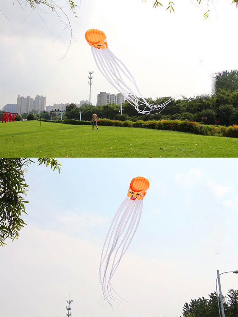 free shipping Chinese traditional longevity kite flying octopus kites flying soft kite walk in sky latawiec kite parachute ikite