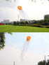 free shipping Chinese traditional longevity kite flying octopus kites flying soft kite walk in sky latawiec kite parachute ikite