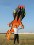 free shipping 14m gecko kites flying professional wind kites soft kites parachute giant kites for adults kites reel kite surf