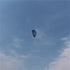 free shipping new beginner dual Line Stunt power Kite beach kite Parafoil kite surf fly outdoor fun sports kites flying ikite