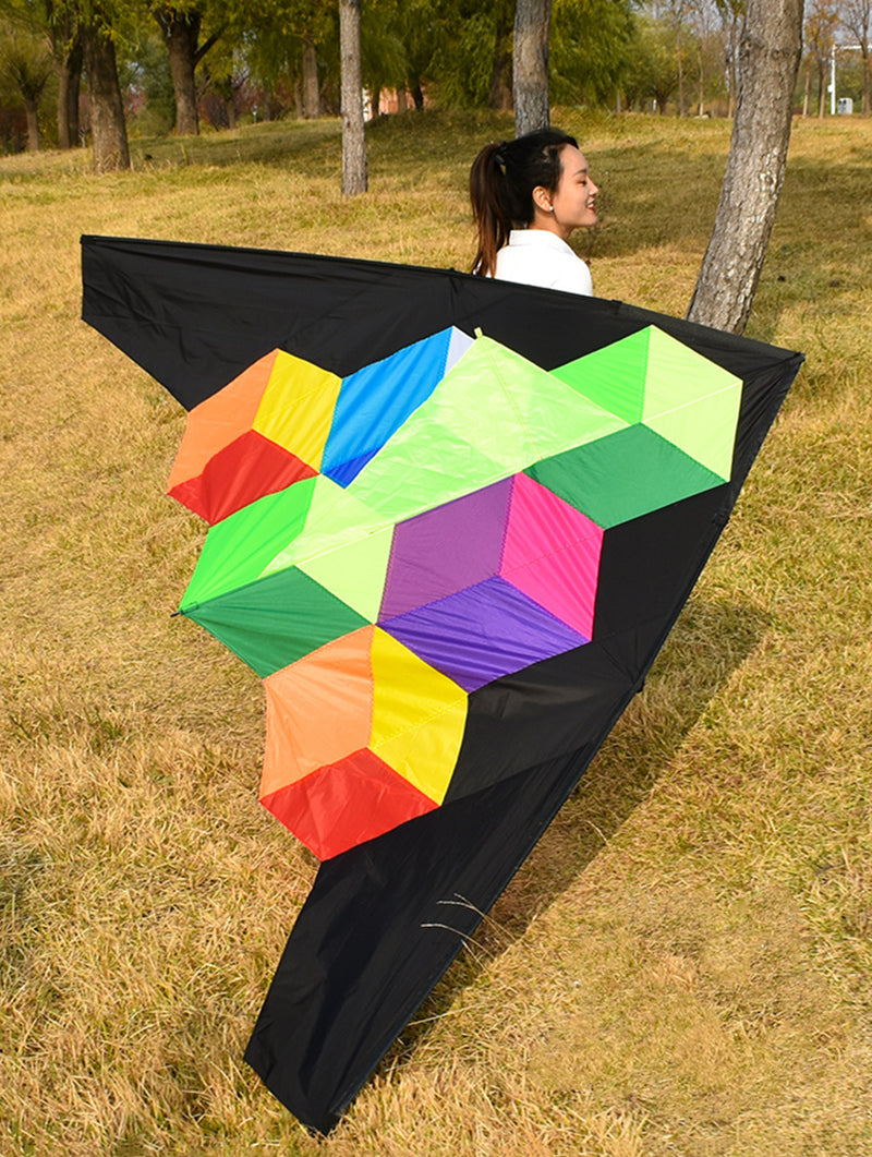 free shipping step by step kite with handle line kite fabric ripstop kite factory kitesurf cerf volant fishing accessories