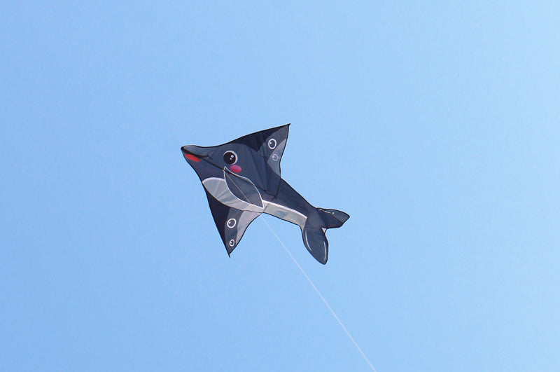 free shipping dolphin kites flying toys for kids kites line nylon fabric kites factory snakes kite buggy professional wind kites