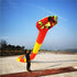 Free shipping professional kites snake soft kites for adults kite flying steering kites inflatable kite show huge kite bird big