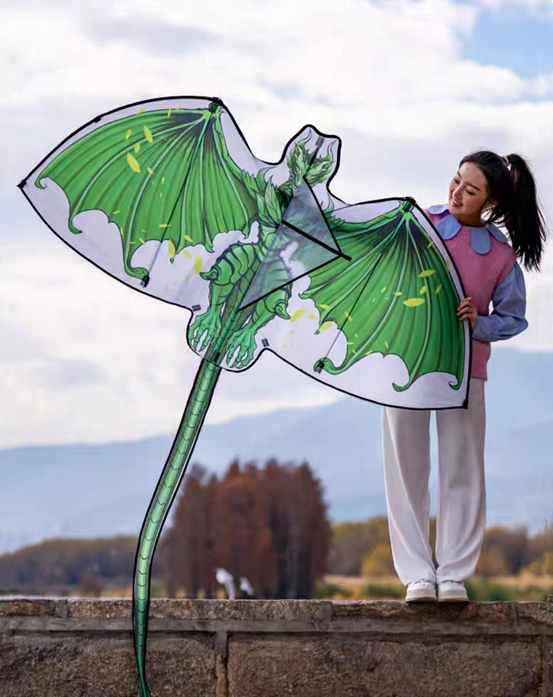 Free Shipping dragon kites flying for children kites fabric nylon weifang kites factory Outdoor toys flying dragon kite surfing