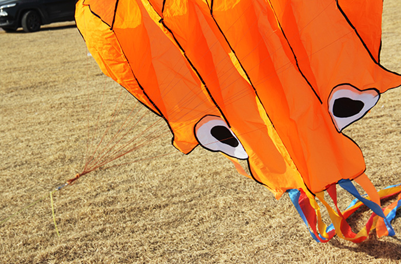 free shipping octopus kite flying soft kites toys for children kite factory walk in sky outdoor fun sports beach kites koi ikite