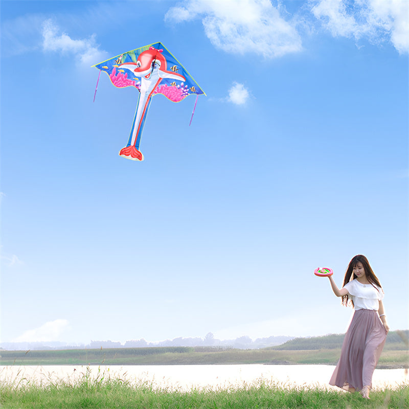 free shipping dragon kites flying toys for kids kites string line eagle kite factory wind kites for children Parachute sports