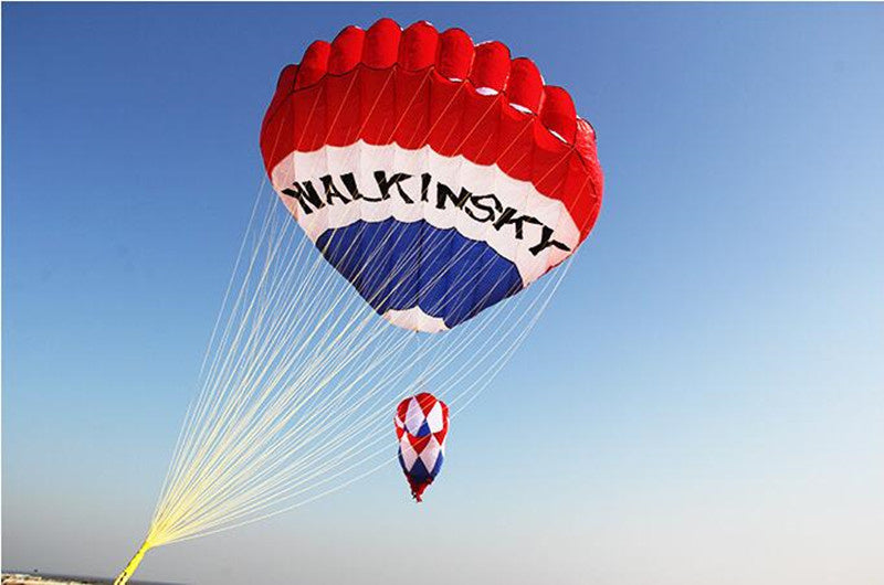 free shipping large inflatable kite hot air balloon kite flying for adults professional kites windsock kitesurf equipment koi