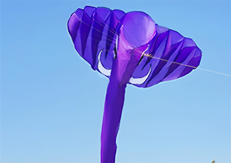 free shipping elephant kites giant soft kite flying for kids kites professional wind kites nylon kevlar line voar pipe parachute