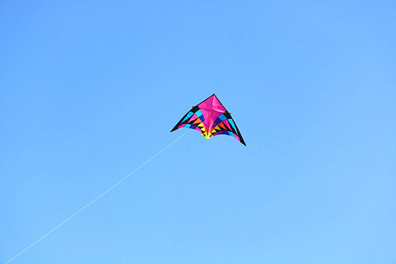 free shipping giant kites flying delta kites for adults kites line kevlar rainbow high kites factory outdoor toys walk in sky