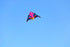 free shipping 6sqm delta kite for adults kites flying string line nylon professional kite reel ikite buggy parachute factory