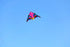 free shipping giant kites flying delta kites for adults kites line kevlar rainbow high kites factory outdoor toys walk in sky