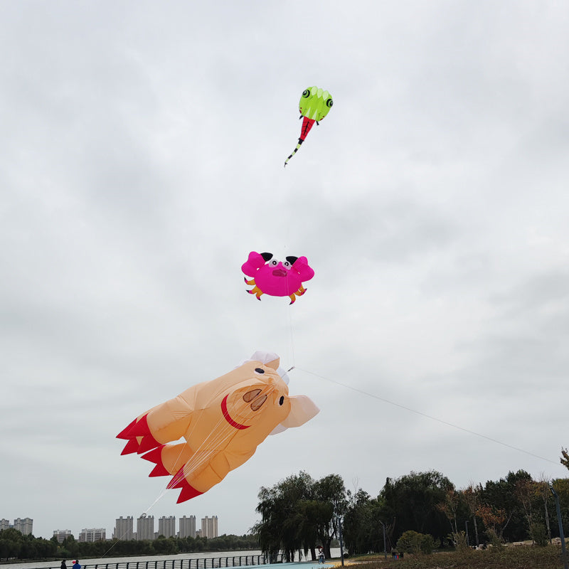 Free Shipping inflatable kites show giant kite pendant pig kites flying toys for adults kites reel large outdoor games soft kite