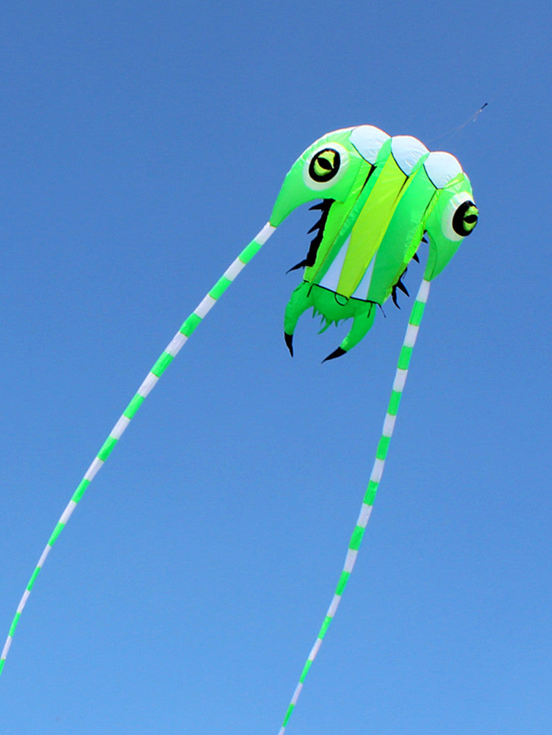 free shipping large trilobites kite flying kites windsurf weifang big kite wheel for adults kites air paraglider koinobori